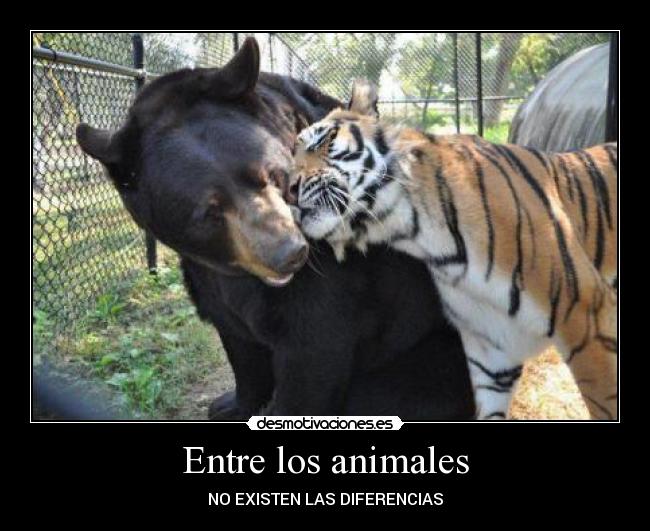 Entre los animales -