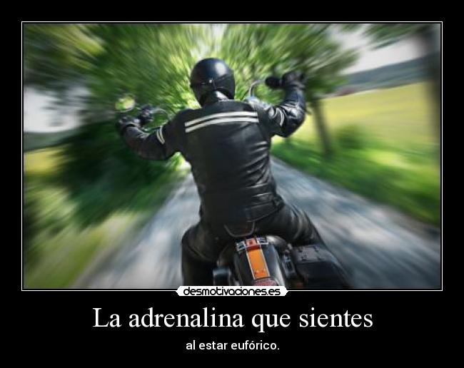 La adrenalina que sientes - al estar eufórico.