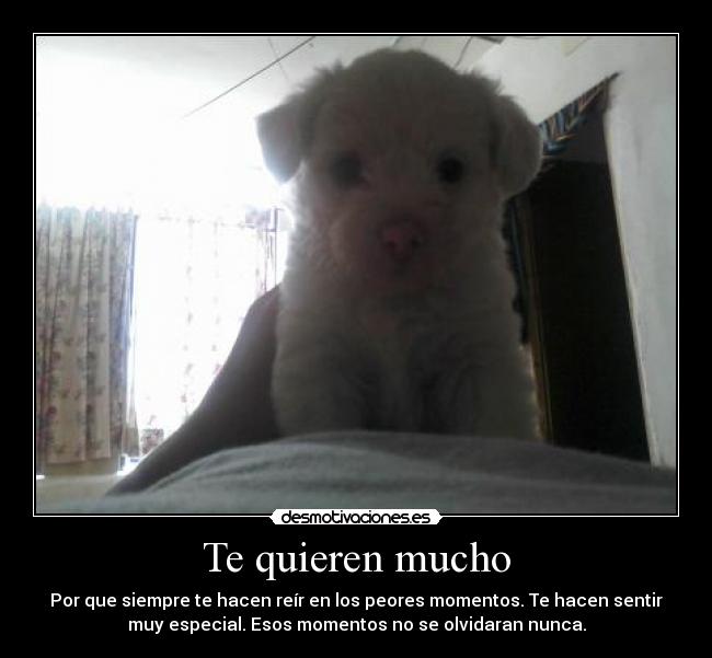 carteles pilkar desmotivaciones