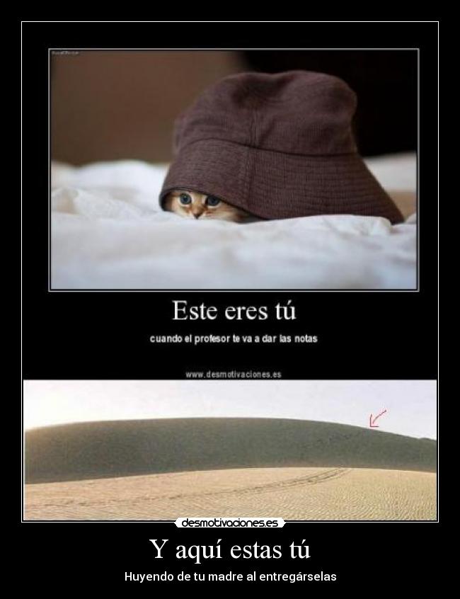 Y aquí estas tú - 
