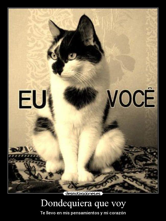 Dondequiera que voy - Te llevo en mis pensamientos y mi corazón