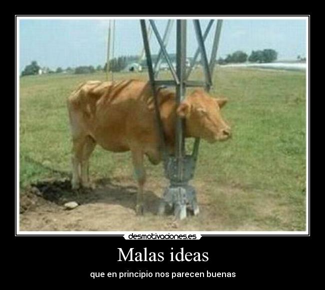 Malas ideas - que en principio nos parecen buenas