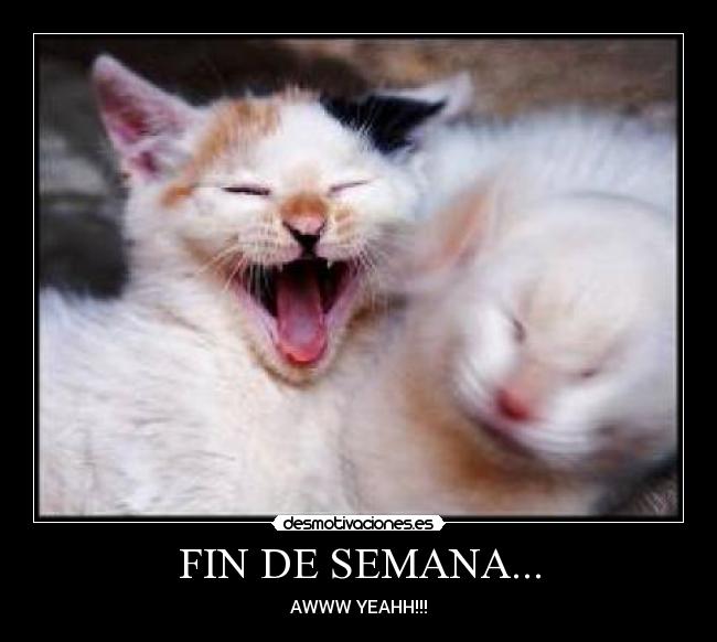 FIN DE SEMANA... - 