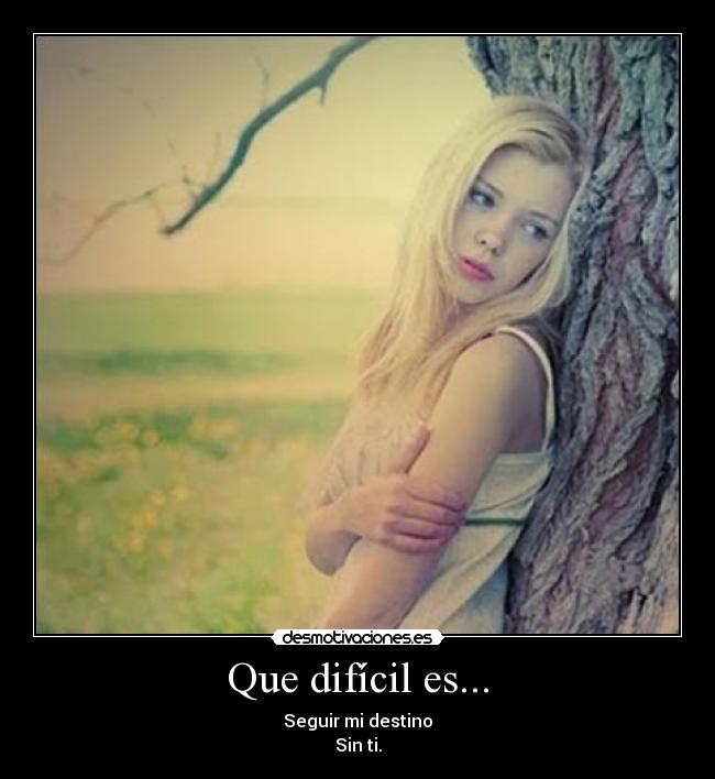 carteles alejita desmotivaciones