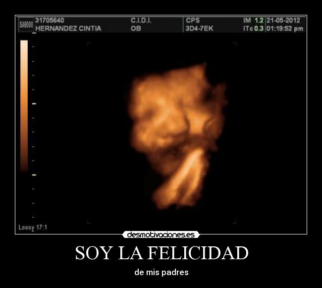 SOY LA FELICIDAD - 