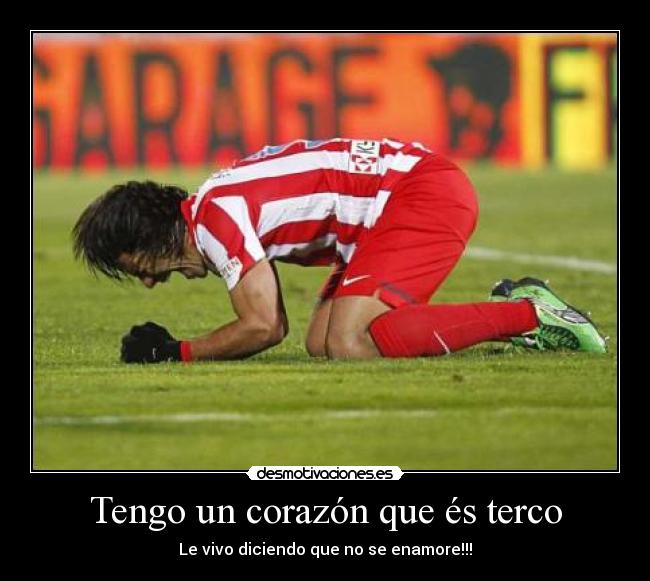 Tengo un corazón que és terco - Le vivo diciendo que no se enamore!!!