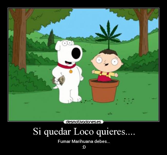 Si quedar Loco quieres.... - Fumar Marihuana debes...
:D