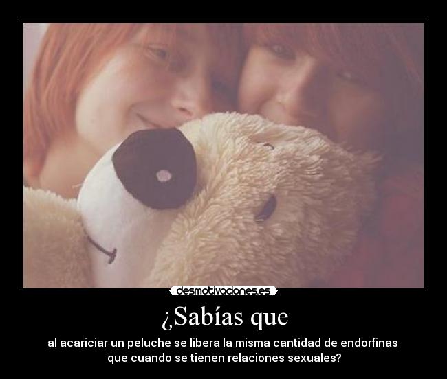 ¿Sabías que - al acariciar un peluche se libera la misma cantidad de endorfinas
que cuando se tienen relaciones sexuales?