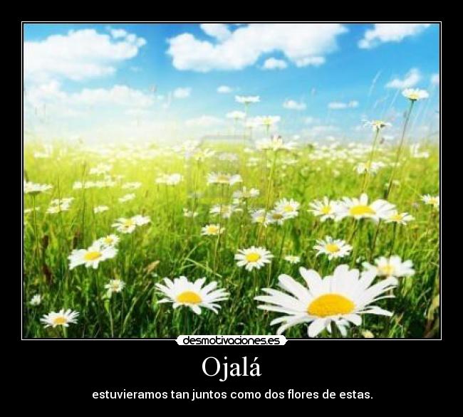 Ojalá - estuvieramos tan juntos como dos flores de estas.