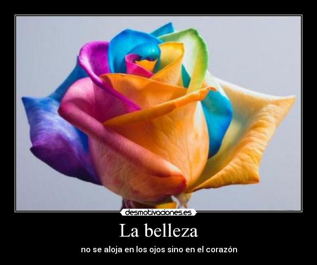 carteles cartel que bien puede resultar trillado expresa verdadero sentimiento belleza desmotivaciones