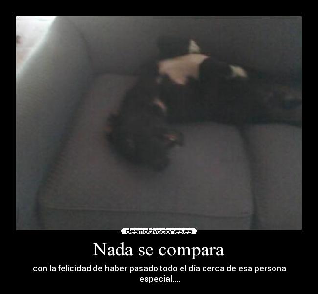 Nada se compara - con la felicidad de haber pasado todo el día cerca de esa persona especial....