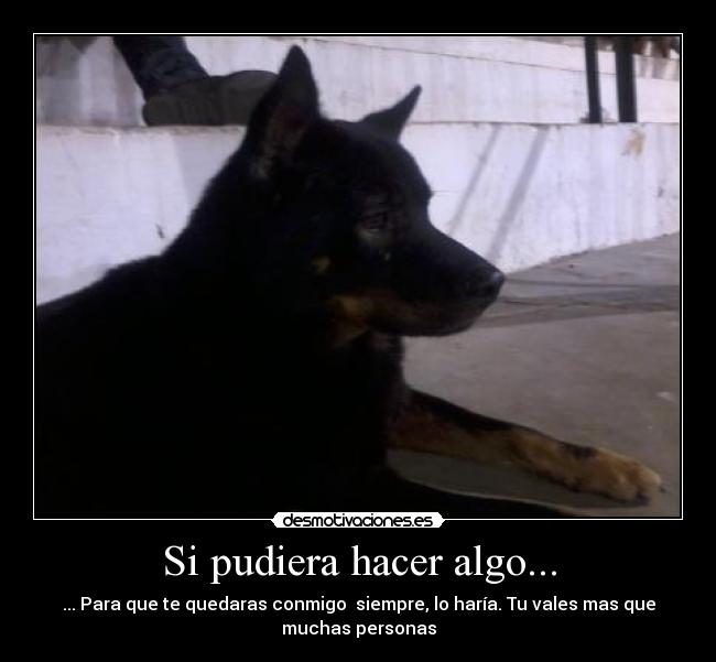 carteles amo desmotivaciones