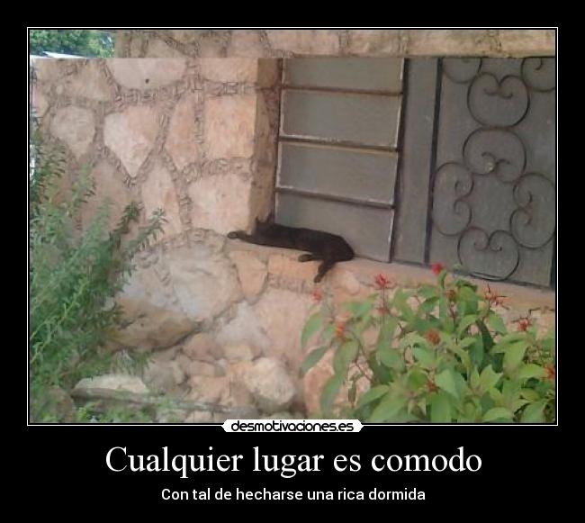 carteles huchin64 desmotivaciones