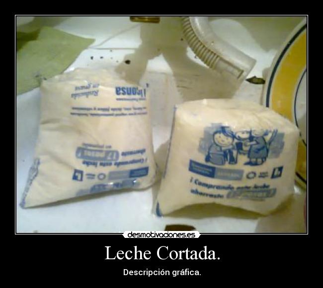 carteles descripcion grafica desmotivaciones