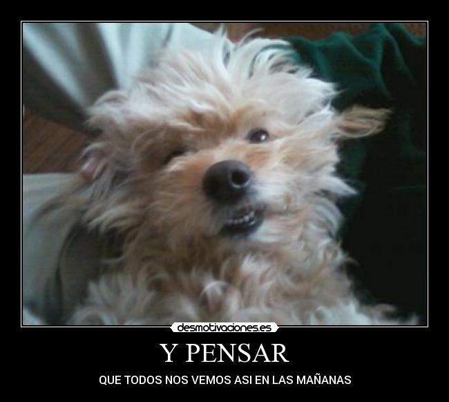 Y PENSAR -