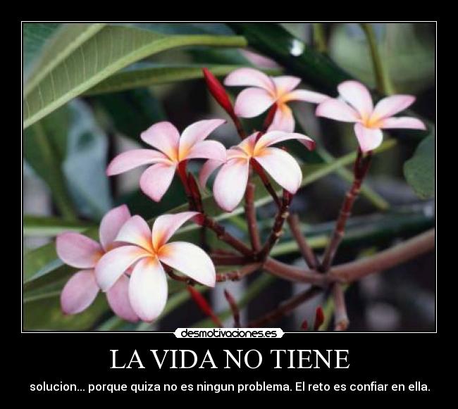 LA VIDA NO TIENE - solucion... porque quiza no es ningun problema. El reto es confiar en ella.