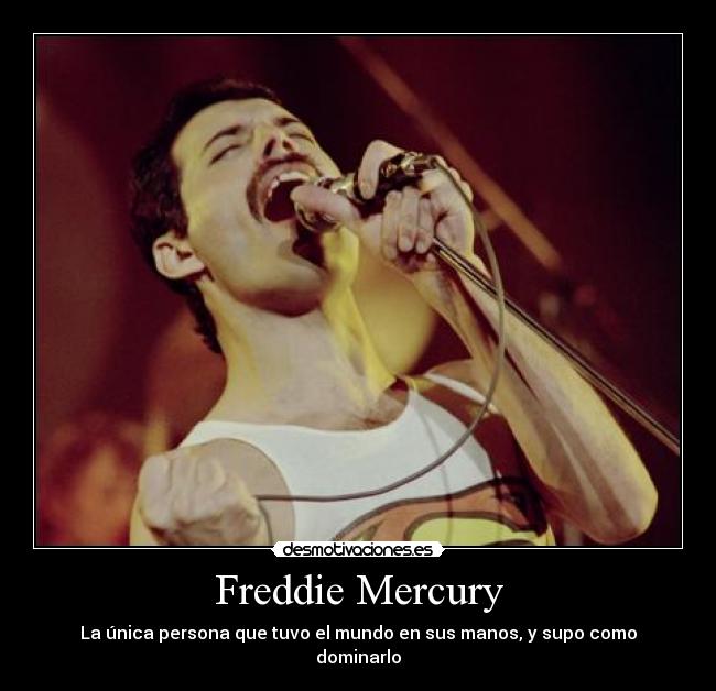 Freddie Mercury -