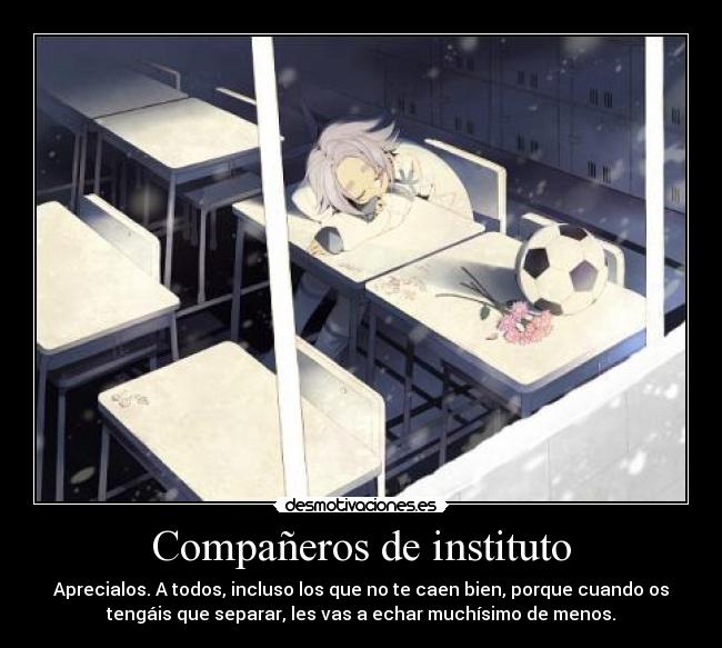 Compañeros de instituto - Aprecialos. A todos, incluso los que no te caen bien, porque cuando os
tengáis que separar, les vas a echar muchísimo de menos.