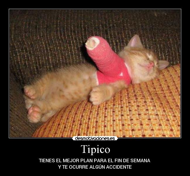 Tipico -