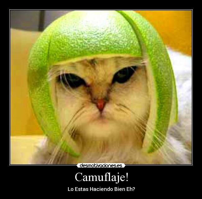 Camuflaje! - 