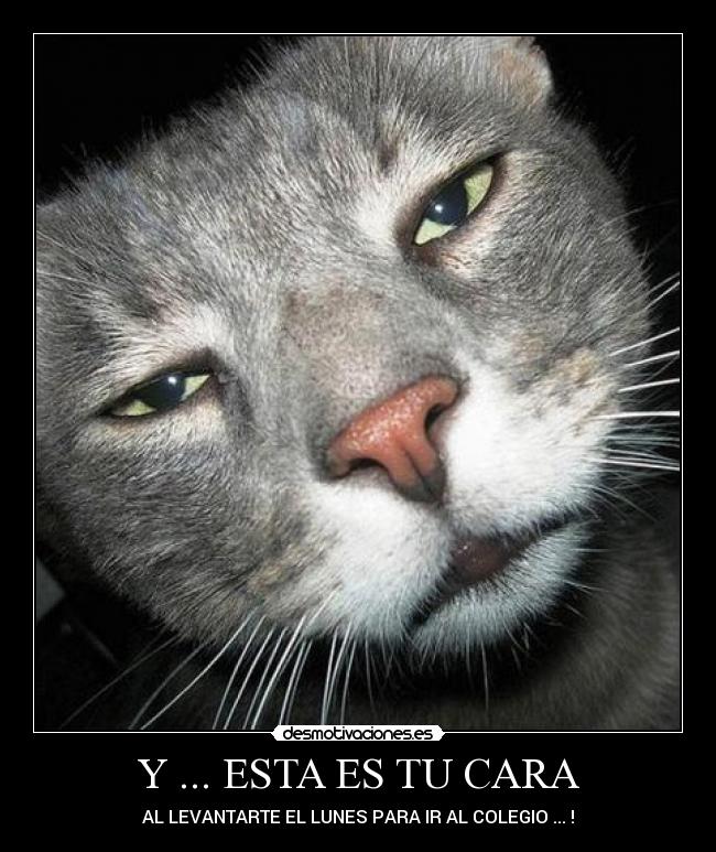 Y ... ESTA ES TU CARA - AL LEVANTARTE EL LUNES PARA IR AL COLEGIO ... !