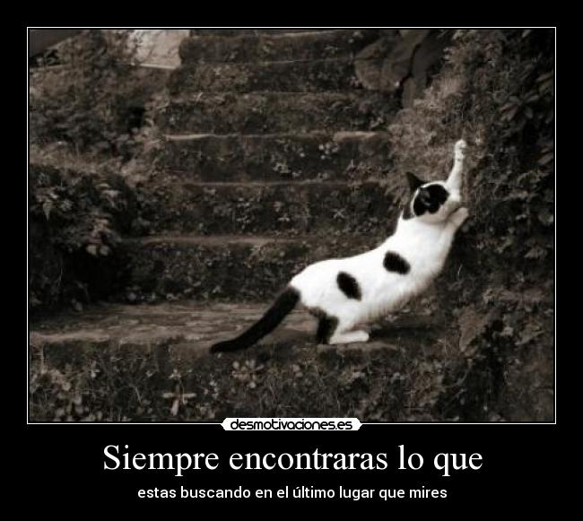 Siempre encontraras lo que - estas buscando en el último lugar que mires