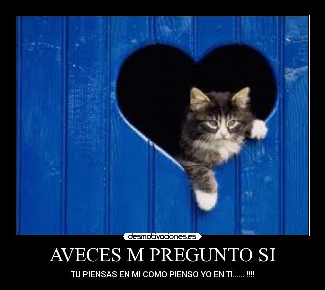 AVECES M PREGUNTO SI - 