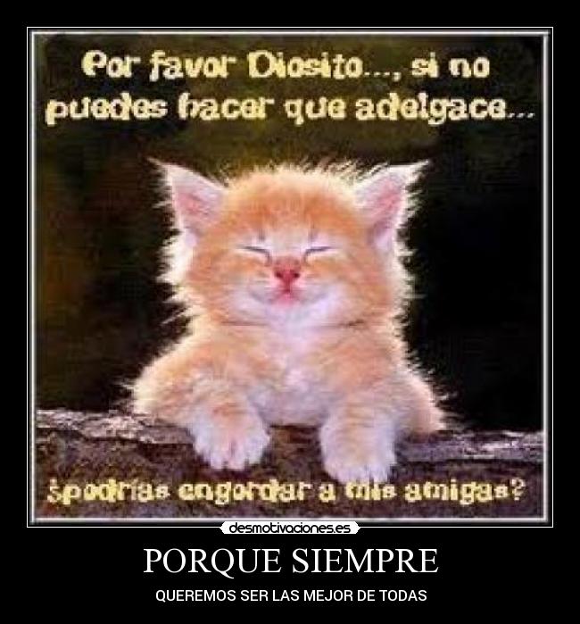 PORQUE SIEMPRE -