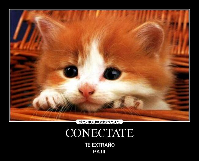 carteles patii desmotivaciones