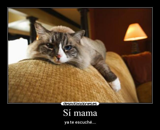 Sí mama -