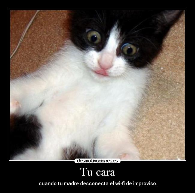 Tu cara - cuando tu madre desconecta el wi-fi de improviso.