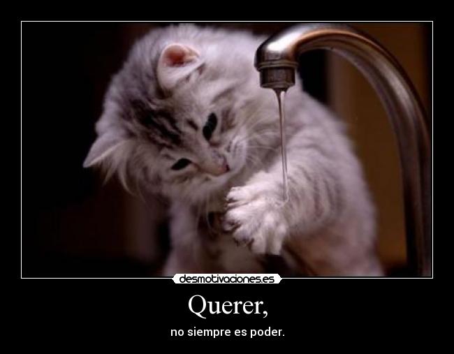 carteles onlyloveme desmotivaciones