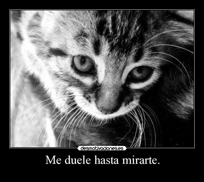 Me duele hasta mirarte. - 