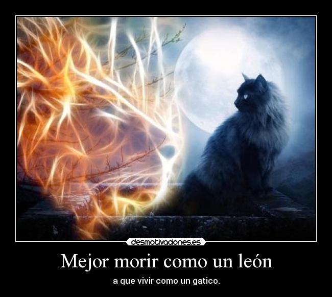 carteles mejor morir leon gato desmotivaciones