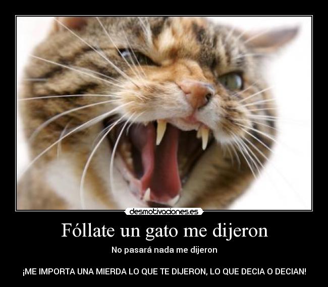 Fóllate un gato me dijeron - No pasará nada me dijeron
¡ME IMPORTA UNA MIERDA LO QUE TE DIJERON, LO QUE DECIA O DECIAN!