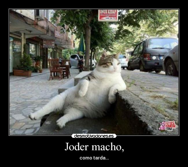 Joder macho, -