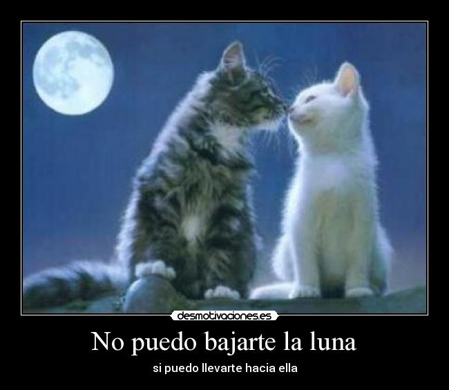 carteles puedo bajarte luna desmotivaciones