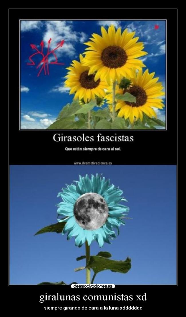 giralunas comunistas xd - siempre girando de cara a la luna xddddddd