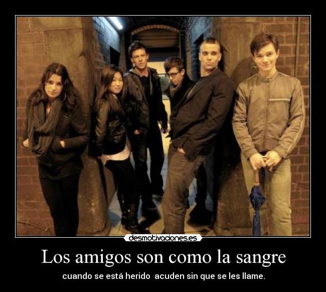 Los amigos son como la sangre -