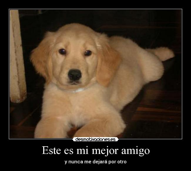 Este es mi mejor amigo -