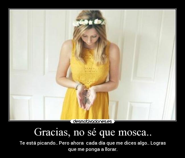 Gracias, no sé que mosca.. - Te está picando.. Pero ahora cada día que me dices algo.. Logras
que me ponga a llorar.
