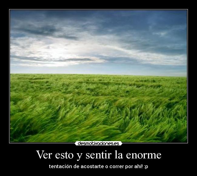 Ver esto y sentir la enorme -