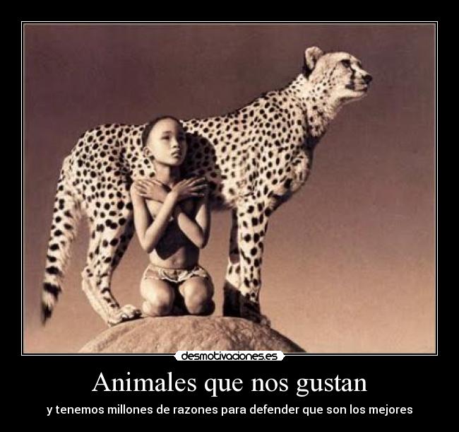 Animales que nos gustan -