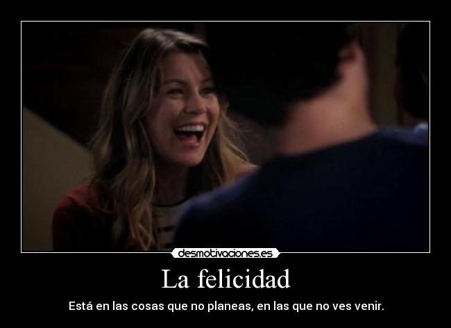 carteles felicidad anatomia grey desmotivaciones
