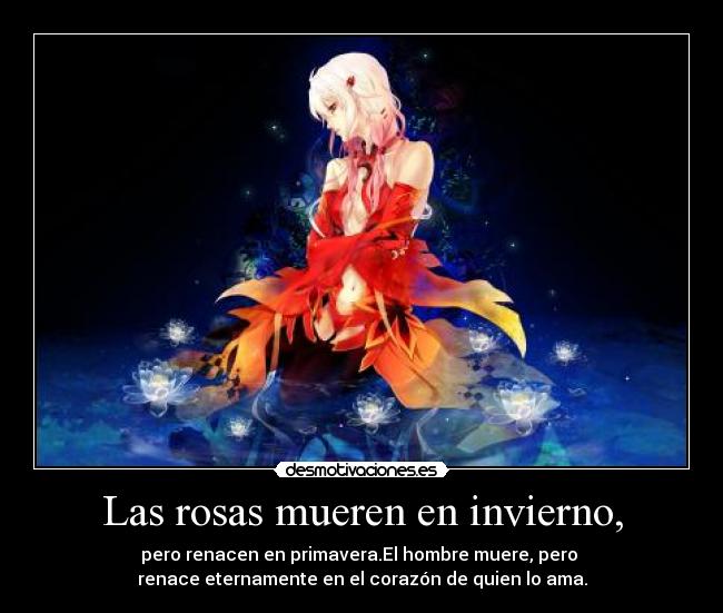 Las rosas mueren en invierno, - pero renacen en primavera.El hombre muere, pero
renace eternamente en el corazón de quien lo ama.