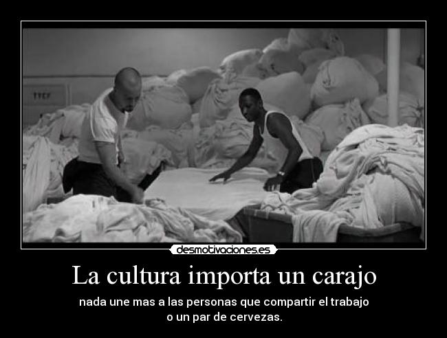 La cultura importa un carajo - nada une mas a las personas que compartir el trabajo
o un par de cervezas.