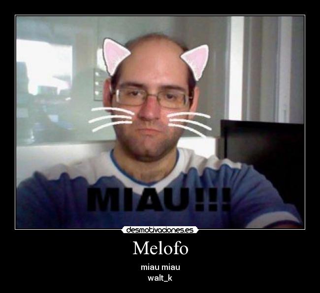 Melofo - miau miau
walt_k