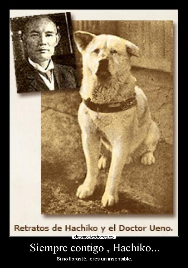 Siempre contigo , Hachiko... - 