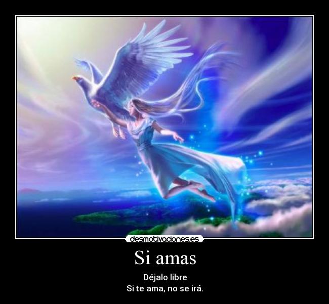 Si amas -