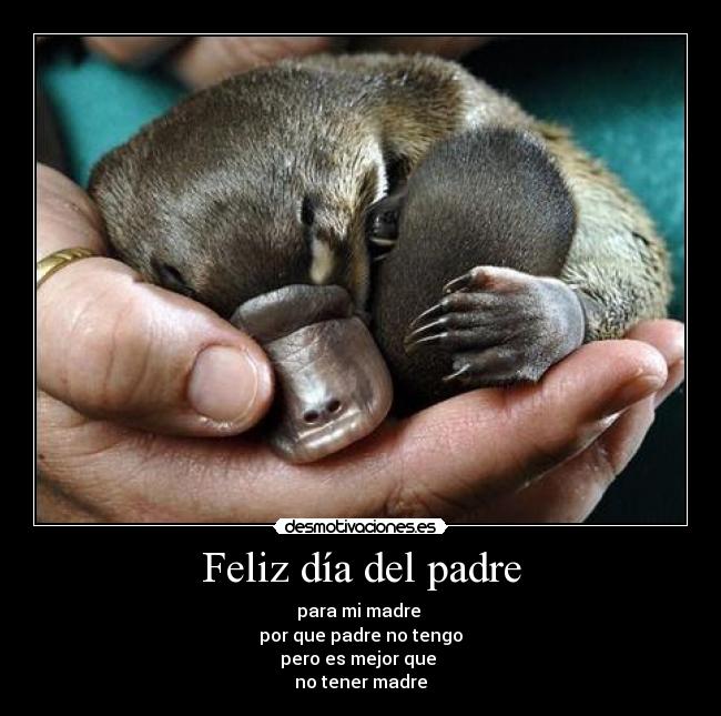 Feliz día del padre - 